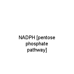 NADPH [pentose phosphate pathway]